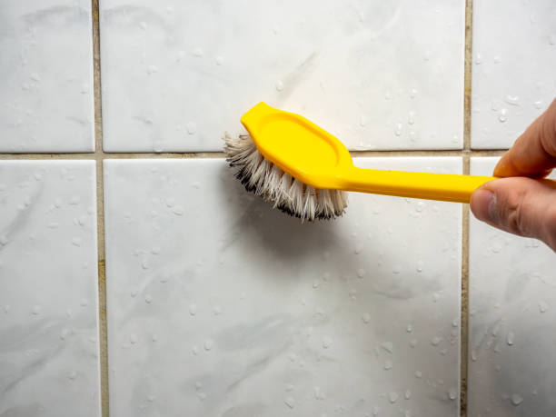 Palos Verdes Estates, CA Mold Removal Company