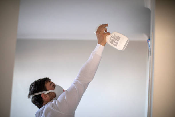 Best Best Mold Removal Companies  in Palos Verdes Estates, CA