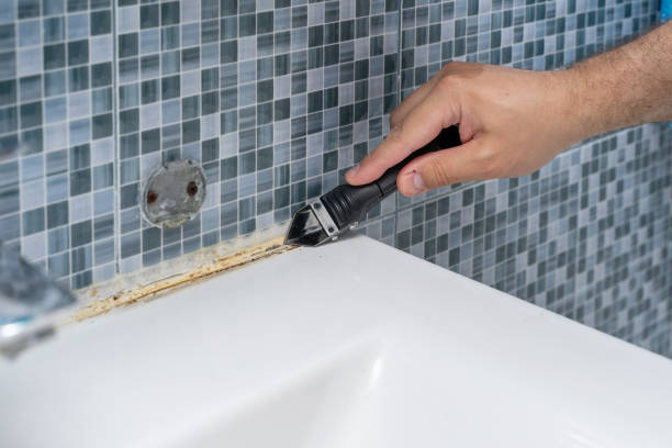 Best Black Mold Removal  in Palos Verdes Estates, CA